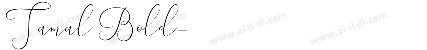 Tamal Bold字体转换